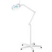 Lampa lupa kosmetyczna ze szkłem powiększającym mobilna 5 dpi 60x LED śr. 127 mm (2)