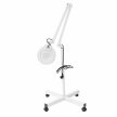 Lampa Lupa 5dpi 22W BASIC (2)