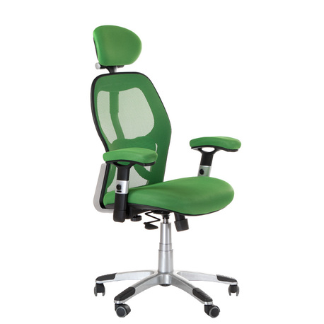 Fotel ergonomiczny CorpoComfort BX-4144 Zielony (1)