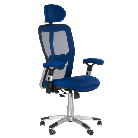 Fotel ergonomiczny CorpoComfort BX-4147 Niebieski (1)