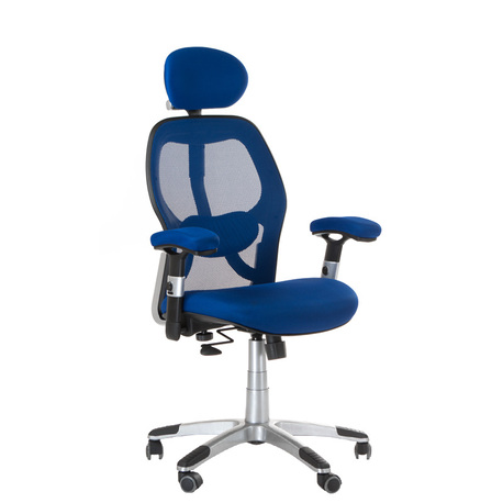 Fotel ergonomiczny CorpoComfort BX-4144 Niebieski (1)