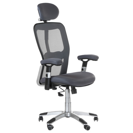 Fotel ergonomiczny CorpoComfort BX-4147 Szary (1)