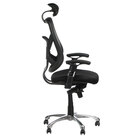 Fotel ergonomiczny CorpoComfort BX-W4310 Czarny (8)
