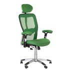 Fotel ergonomiczny CorpoComfort BX-4147 Zielony (1)