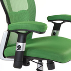 Fotel ergonomiczny CorpoComfort BX-4147 Zielony (5)